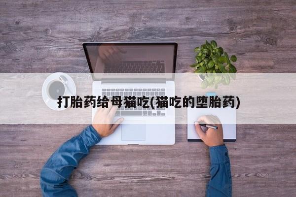 打胎药专卖微信打胎药购买私人微信打胎药给母猫吃(猫吃的堕胎药)