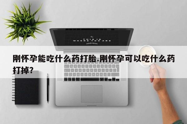 打胎药专卖微信打胎药购买私人微信刚怀孕能吃什么药打胎.刚怀孕可以吃什么药打掉？